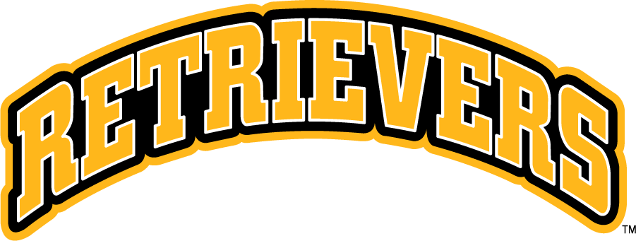 UMBC Retrievers 2010-Pres Wordmark Logo v3 diy DTF decal sticker